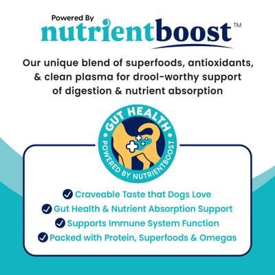 Show full view: Solid Gold Skin & Coat Support Chicken & Salmon Wet Dog Food, 3.5-oz cup, bundle of 12  slide 5 of 9