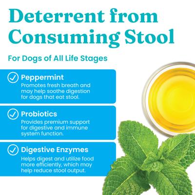 Show full view: Solid Gold Stop Eating Poop + Breath Aid Soft Chews Grain-Free Supplements for Dogs, 60 count slide 3 of 10