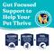 Show in main carousel: Solid Gold Toy & Small Breed Grain-Free Real Beef, Sweet Potato & Apple Dry Dog Food, 4-lb bag slide 5 of 10