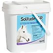 Show in main carousel: Solitude IGR Horse Fly Preventive, 6-lb bucket slide 1 of 2