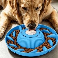 SOLOWINNER 2-in-1 Non-Skid Silicone Dog Bowl Slow Feeder, 5-cup, Blue