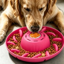 SOLOWINNER 2-in-1 Non-Skid Silicone Dog Bowl Slow Feeder, 5-cup, Pink