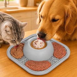 SOLOWINNER Dishwasher Safe Non-Skid Silicone Plastic Slow Feeder Dog & Cat Bowl & Lick Mat, Grey