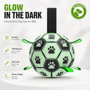 SOLOWINNER Premium Glowing & Light Up Outdoor Chew Ball Dog Toy, Large: 7.3-in
