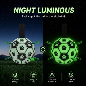 SOLOWINNER Premium Glowing & Light Up Outdoor Chew Ball Dog Toy, Large: 7.3-in