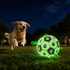SOLOWINNER Premium Glowing & Light Up Outdoor Chew Ball Dog Toy, Large: 7.3-in