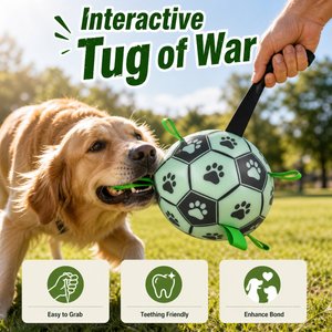 SOLOWINNER Premium Glowing & Light Up Outdoor Chew Ball Dog Toy, Large: 7.3-in
