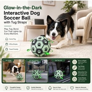 SOLOWINNER Premium Glowing & Light Up Outdoor Chew Ball Dog Toy, Large: 7.3-in
