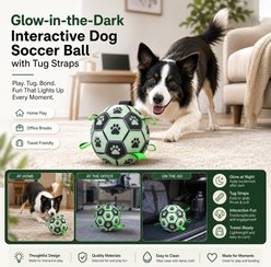 SOLOWINNER Premium Glowing & Light Up Outdoor Chew Ball Dog Toy, Small: 6-in slide 2 of 8