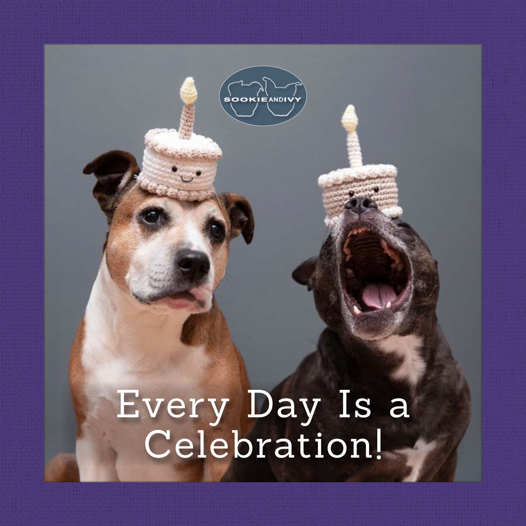 Sookie & Ivy Every Day is a Celebration