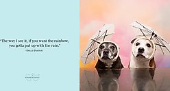 Sookie & Ivy Every Day is a Celebration slide 2 of 5