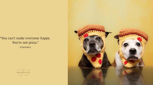 Show full view: Sookie & Ivy Every Day is a Celebration slide 3 of 5