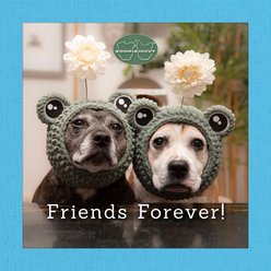 Sookie & Ivy Friends Forever