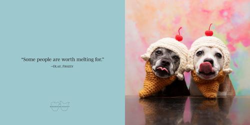 Show full view: Sookie & Ivy Friends Forever slide 2 of 5