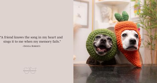 Show full view: Sookie & Ivy Friends Forever slide 3 of 5