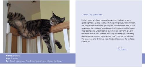 Show full view: Sorry I Barfed on Your Bed slide 4 of 5