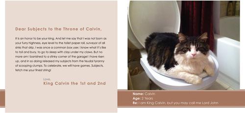 Show full view: Sorry I Barfed on Your Bed slide 5 of 5