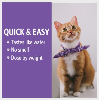 Show full view: Sovereign Silver Pets Daily+ Immune Support Bio-Active Silver Hydrosol Dog & Cat Supplement, 4-fl oz bottle slide 7 of 11