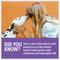 Show in main carousel: Sovereign Silver Pets Daily+ Immune Support Bio-Active Silver Hydrosol Dog & Cat Supplement, 4-fl oz bottle slide 8 of 11