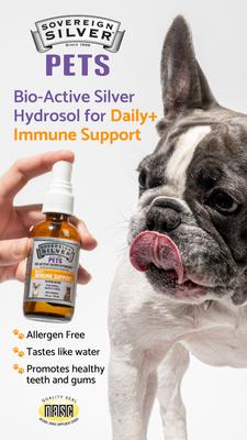 Show full view: Sovereign Silver Pets Daily+ Immune Support Bio-Active Silver Hydrosol Small Dog & Cat Supplement, 2-fl oz bottle slide 4 of 9