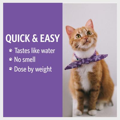 Show full view: Sovereign Silver Pets Daily+ Immune Support Bio-Active Silver Hydrosol Small Dog & Cat Supplement, 2-fl oz bottle slide 7 of 9