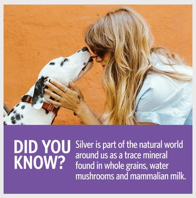 Show full view: Sovereign Silver Pets Daily+ Immune Support Bio-Active Silver Hydrosol Small Dog & Cat Supplement, 2-fl oz bottle slide 8 of 9