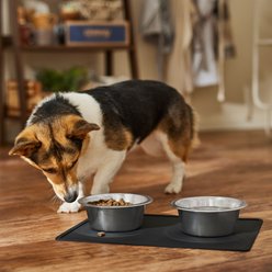 Speckle & Spot by Ore' Originals Pet Silicone Dog & Cat Placemat, Black slide 2 of 5