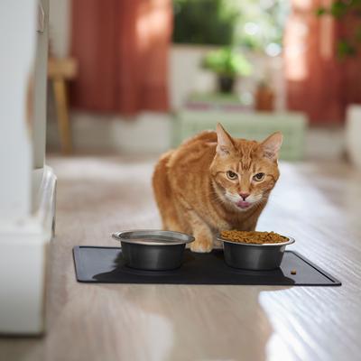 Show full view: Speckle & Spot by Ore' Originals Pet Silicone Dog & Cat Placemat, Black slide 4 of 7