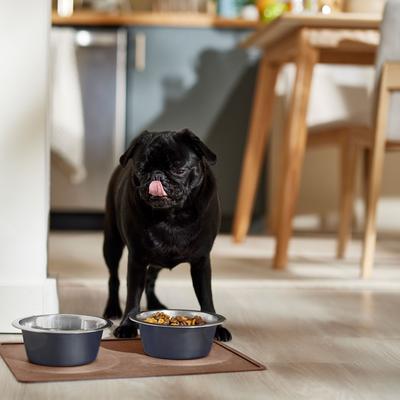 Show full view: Speckle & Spot by Ore' Originals Pet Silicone Dog & Cat Placemat, Chocolate slide 2 of 7