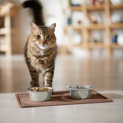 Show full view: Speckle & Spot by Ore' Originals Pet Silicone Dog & Cat Placemat, Chocolate slide 3 of 7