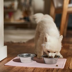 Speckle & Spot by Ore' Originals Pet Silicone Dog & Cat Placemat, Pink slide 2 of 6