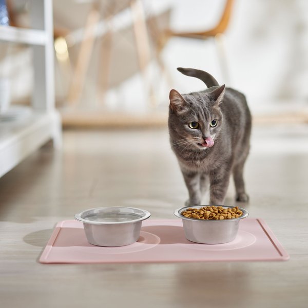 Show full view: Speckle & Spot by Ore' Originals Pet Silicone Dog & Cat Placemat, Pink slide 3 of 7