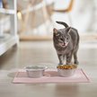 Show in main carousel: Speckle & Spot by Ore' Originals Pet Silicone Dog & Cat Placemat, Pink slide 3 of 7