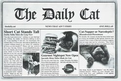 Speckle & Spot by Ore' Originals Pet The Daily Cat Placemat