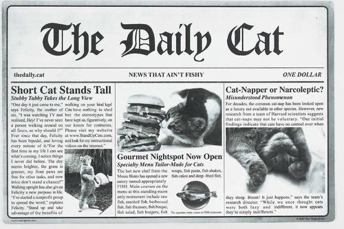 Show full view: Speckle & Spot by Ore' Originals Pet The Daily Cat Placemat slide 1 of 5
