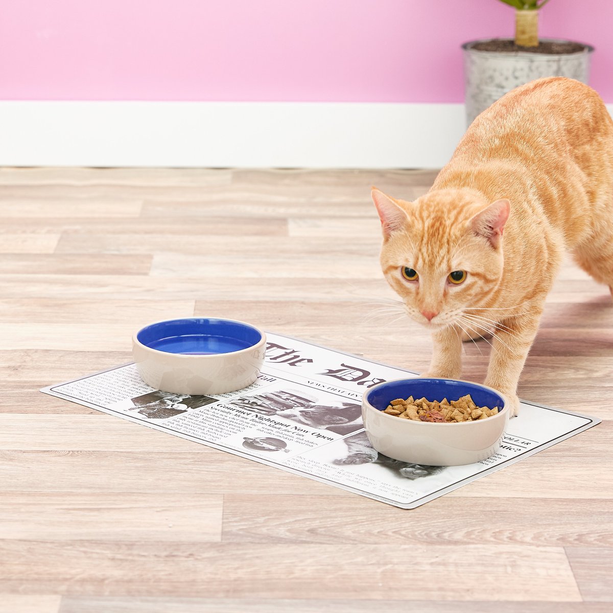 Speckle & Spot by Ore' Originals Pet Eco-Bamboo Meow Pet Food Spoon