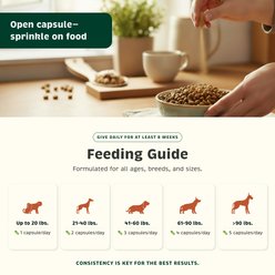 Spirited Paw Probiotic + Gut Health Digestive Aid Capsule Supplement for Dogs & Cats, 90 count slide 2 of 5
