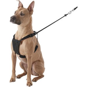 Sporn Comfort Training Mesh No Pull Dog Harness, Black, Large/X-Large: 16 to 24-in neck