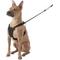 Show in main carousel: Sporn Comfort Training Mesh No Pull Dog Harness, Black, Large/X-Large: 16 to 24-in neck slide 4 of 11