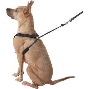 Sporn Comfort Training Mesh No Pull Dog Harness, Black, Large/X-Large: 16 to 24-in neck