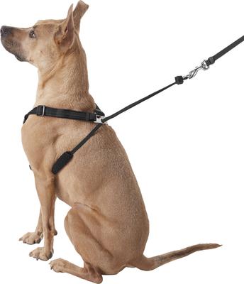 Show full view: Sporn Comfort Training Mesh No Pull Dog Harness, Black, Large/X-Large: 16 to 24-in neck slide 5 of 11