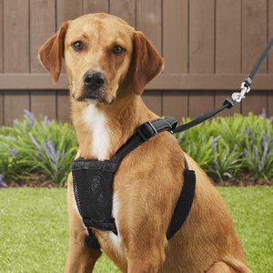 Sporn Comfort Training Mesh No Pull Dog Harness, Black, Large/X-Large: 16 to 24-in neck