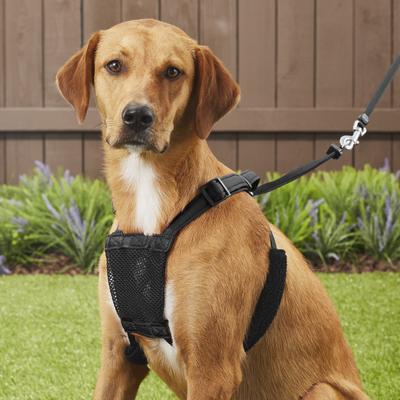 Show full view: Sporn Comfort Training Mesh No Pull Dog Harness, Black, Large/X-Large: 16 to 24-in neck slide 6 of 11