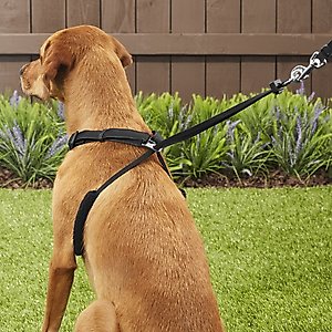 Sporn Comfort Training Mesh No Pull Dog Harness, Black, Large/X-Large: 16 to 24-in neck