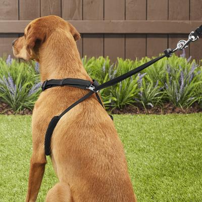 Show full view: Sporn Comfort Training Mesh No Pull Dog Harness, Black, Large/X-Large: 16 to 24-in neck slide 7 of 11