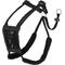 Show in main carousel: Sporn Comfort Training Mesh No Pull Dog Harness, Black, Medium: 12 to 17-in neck slide 1 of 10