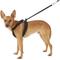 Show in main carousel: Sporn Comfort Training Mesh No Pull Dog Harness, Black, Medium: 12 to 17-in neck slide 5 of 10