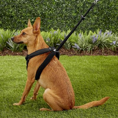 Show full view: Sporn Comfort Training Mesh No Pull Dog Harness, Black, Medium: 12 to 17-in neck slide 6 of 10