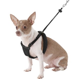 Sporn Comfort Training Mesh No Pull Dog Harness, Black, Small: 9 to 12-in neck