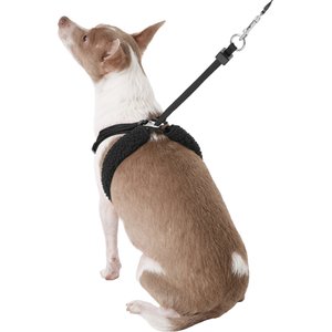 Sporn Comfort Training Mesh No Pull Dog Harness, Black, Small: 9 to 12-in neck
